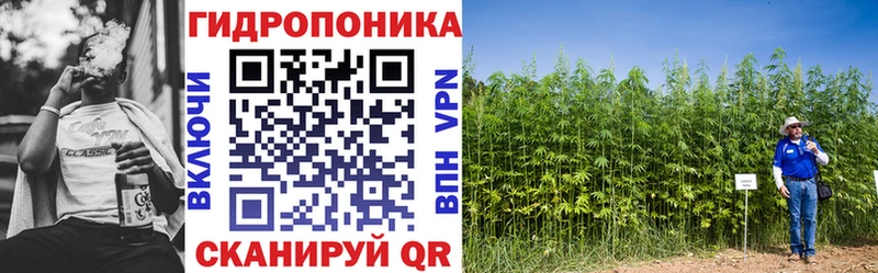 Наркошоп Осинники Псилоцибиновые грибы  КОКАИН  ГАШ  Марихуана  Alpha-PVP 