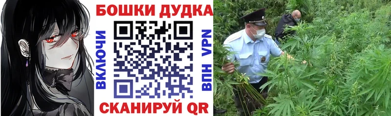 сколько стоит Осинники Бошки марихуана White Widow